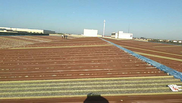 彩鋼瓦防水翻新選擇什么樣的涂料比較好？